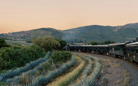 Del alambique a la leyenda: diferencias entre mezcal artesanal y ancestral