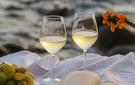 Top 5 vinos para impresionar sin gastar una fortuna
