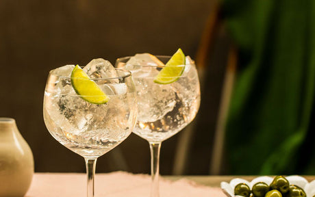 5 ginebras premium para descubrir el mundo copa a copa