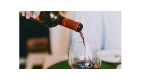 Vinos Ecológicos que debes probar