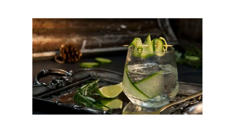 Cómo preparar el gin tonic perfecto según los bartenders más reconocidos