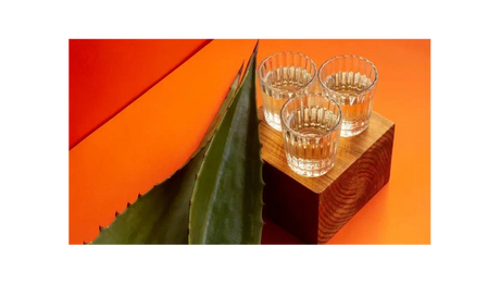 Mezcal y Tequila: Destilados artesanales que están conquistando el mundo