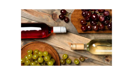 Cómo Elegir un Vino Según la Estación del Año