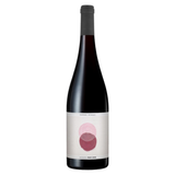 Sophie Schaal Pinot Noir 2024